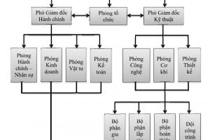 Sơ đồ tổ chức