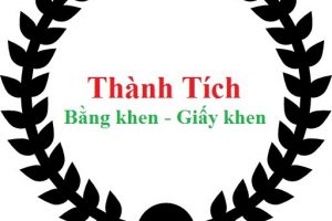 Thành tích đạt được